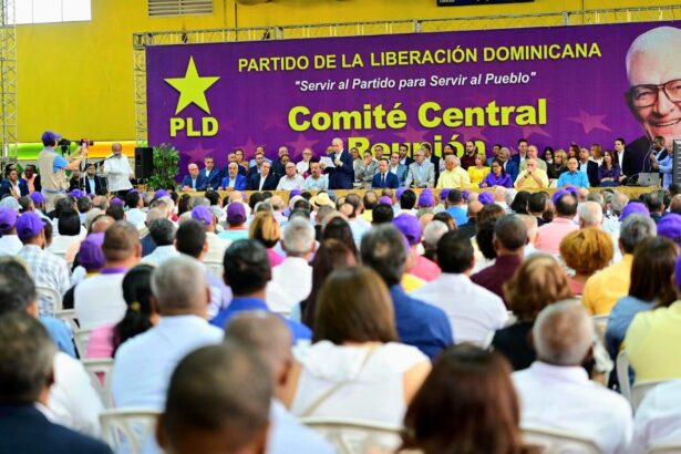 PLD aprueba protocolo y lista de aspirantes para presidencial 2028