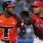 Toros del Este buscan igualar serie final ante Escogido hoy