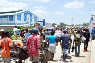 Importaciones desde Haití caen 98% y exportaciones crecen en 2026