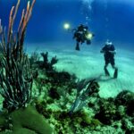 Océanos alcanzan máximos históricos de temperatura en marzo 2026