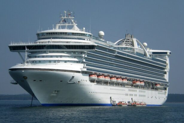 Colegio Médico refuerza alerta por brote de norovirus en crucero