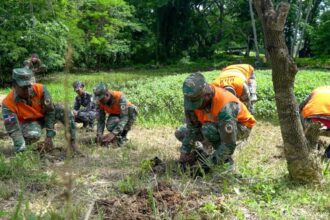 Fuerzas Armadas siembran 100 mil árboles en reforestación nacional