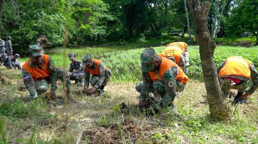 Fuerzas Armadas siembran 100 mil árboles en reforestación nacional